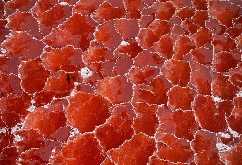 The Red Lake Natron in Tanzania